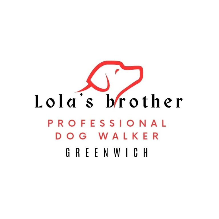 Lola's Brother Dog Walker