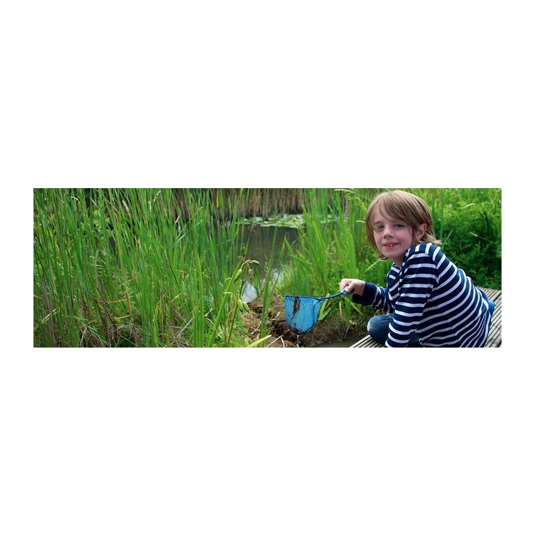 Greenwich Peninsula Ecology Park